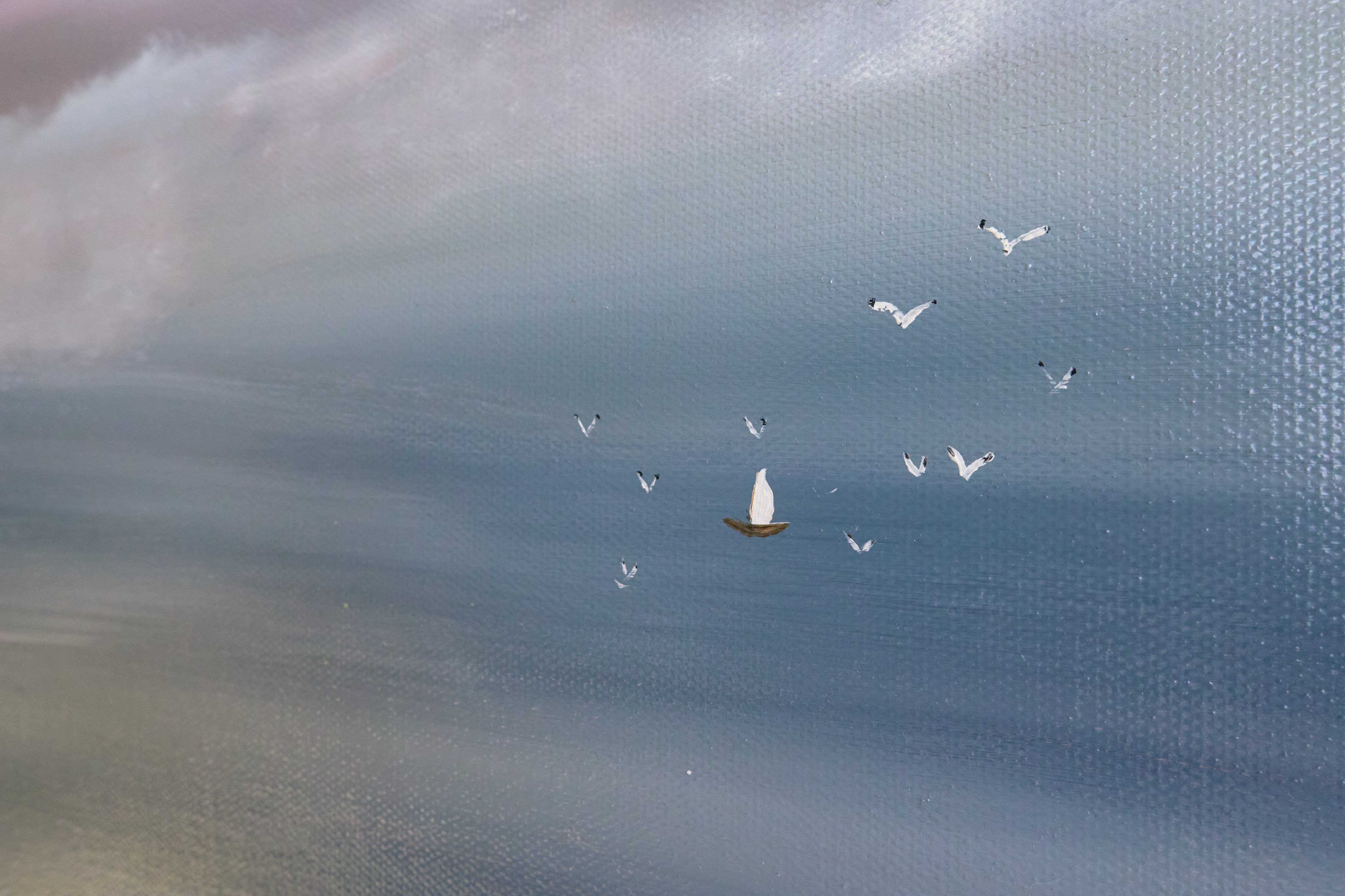 Where the Harbour Sleeps