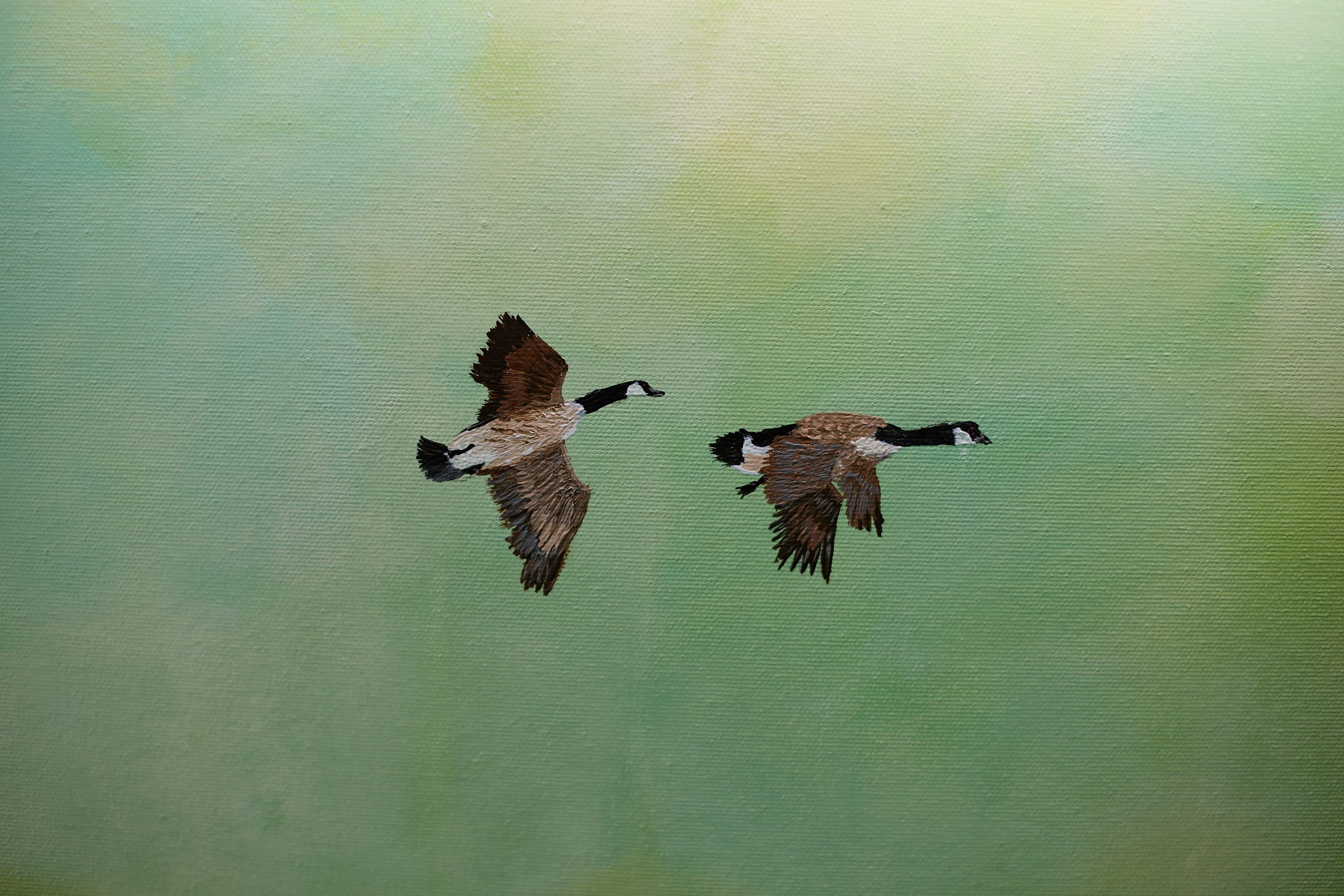 Ethereal Flight