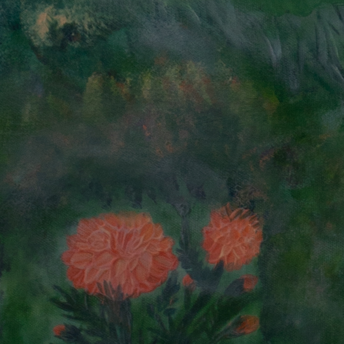 Wild World of Flowers