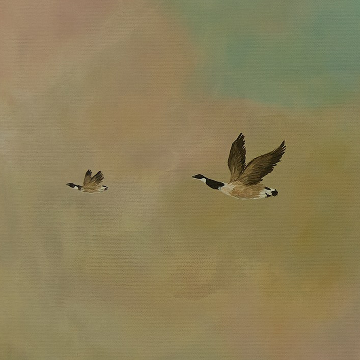 Dreamscape Migration
