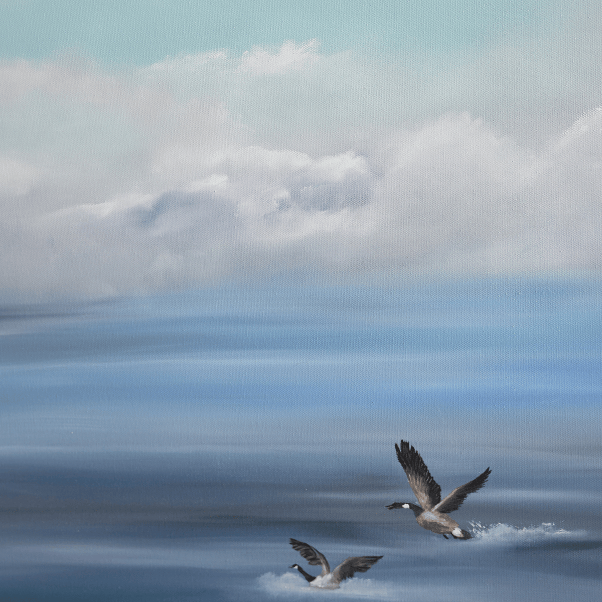 Where the Birds Gather