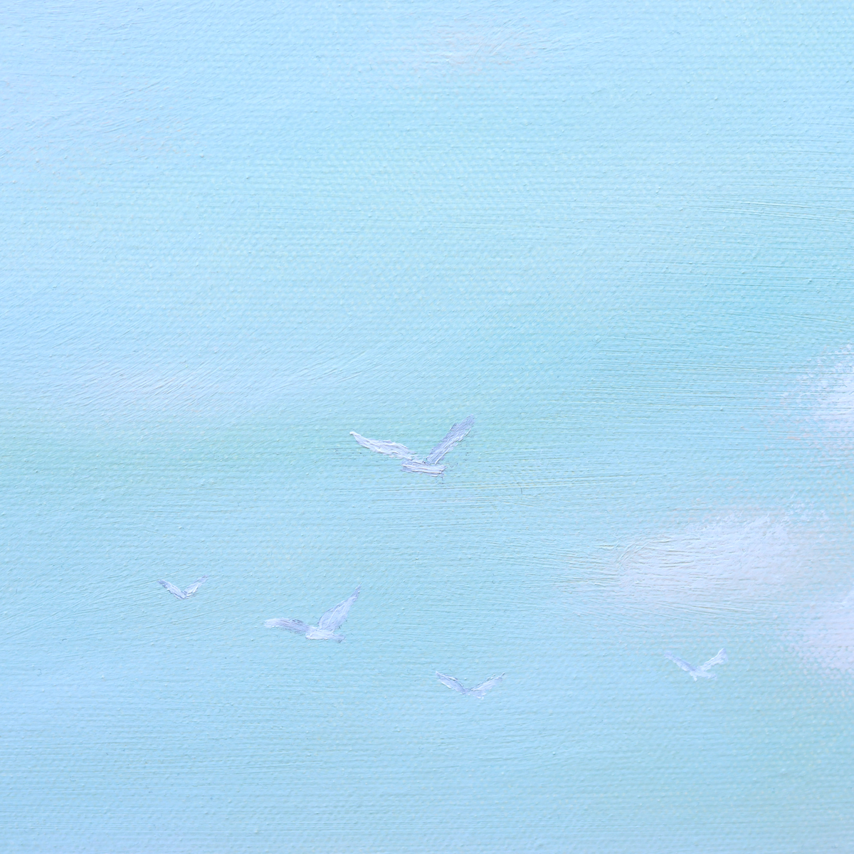 A Sky to Believe In