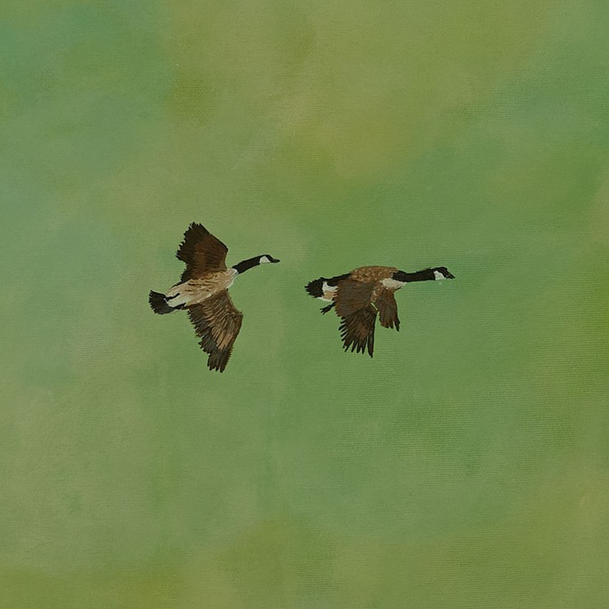 Ethereal Flight