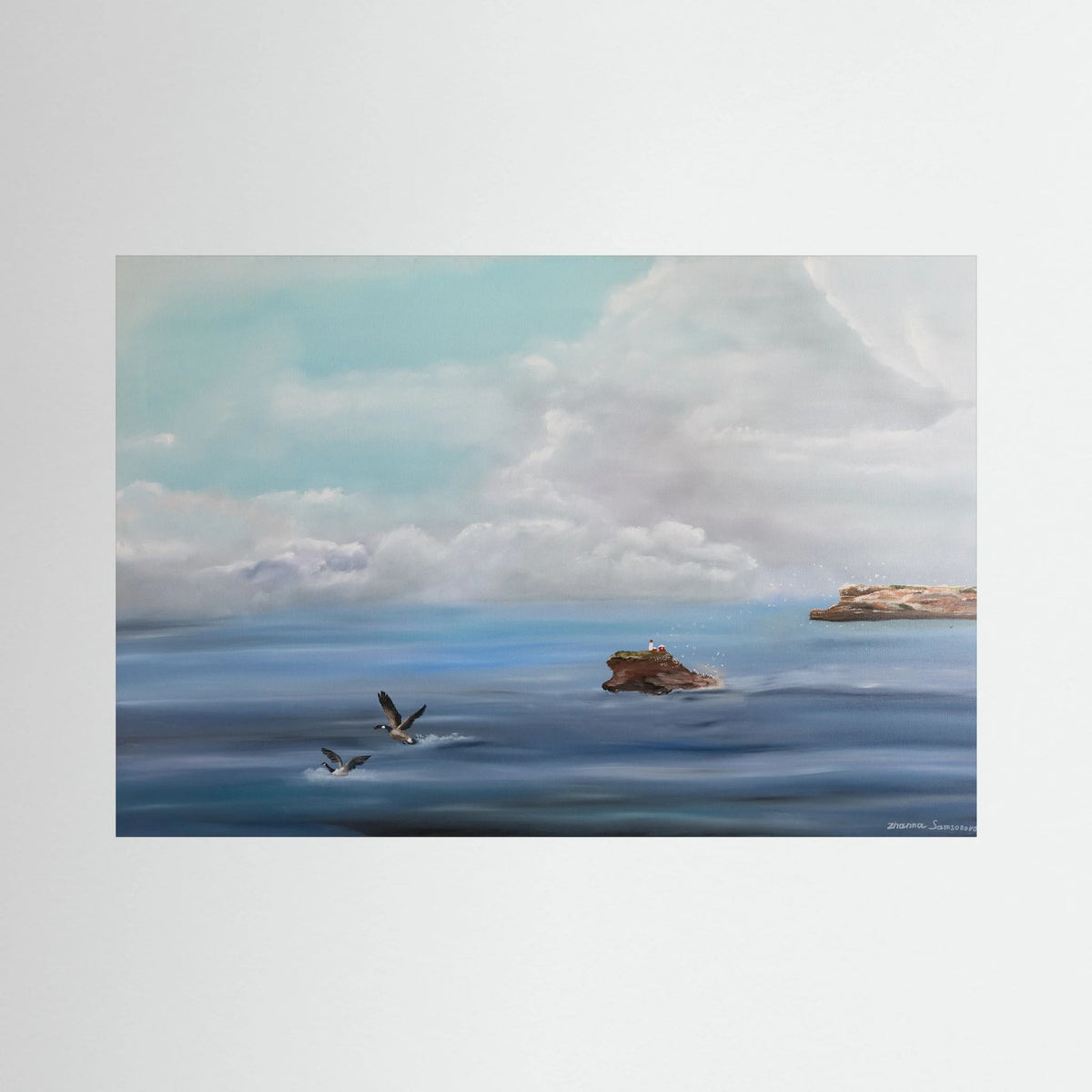 Where the Birds Gather – Québec Coastal Seabird Landscape Fine Art Print
